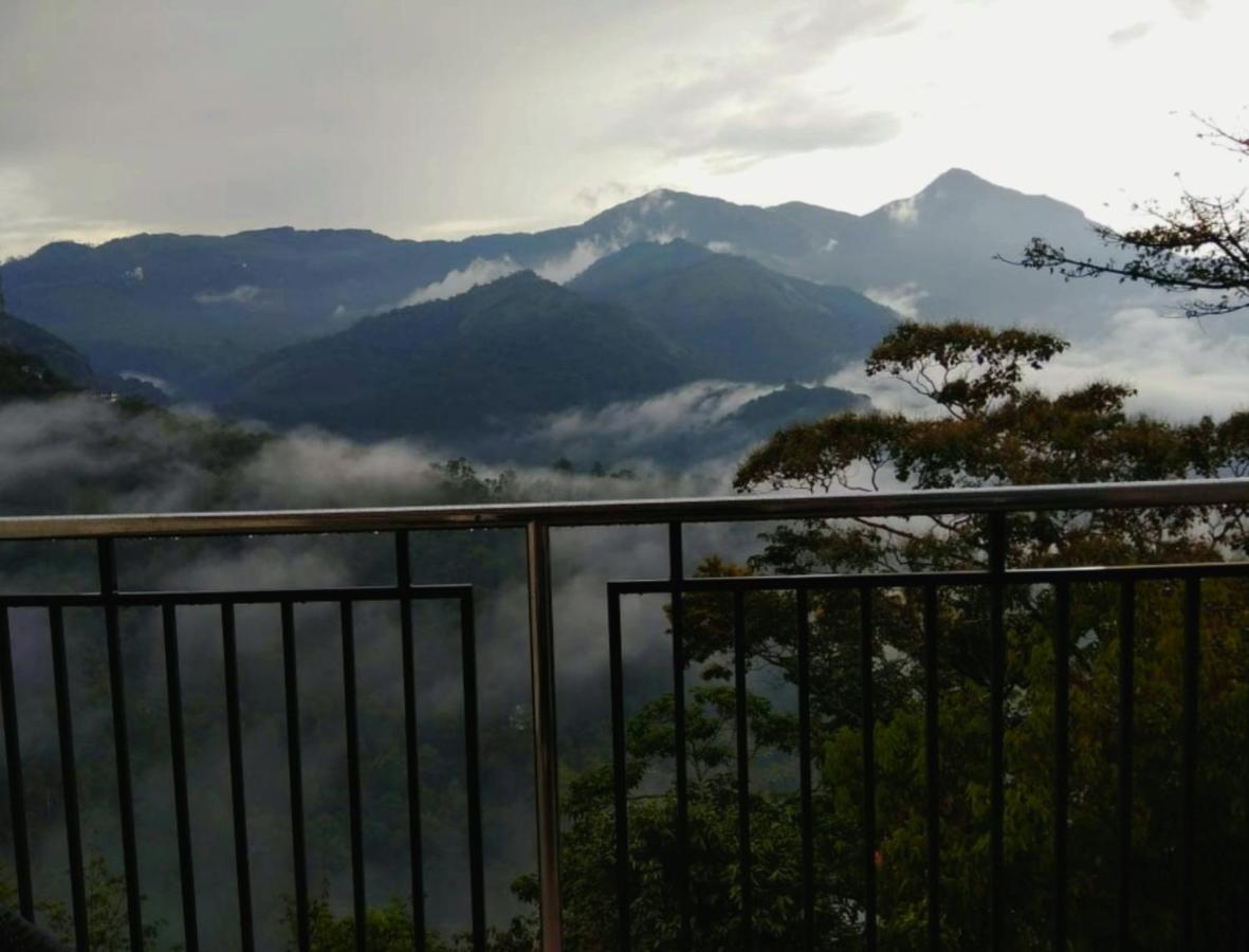 蒙纳 棕榈树叶旅馆酒店 外观 照片